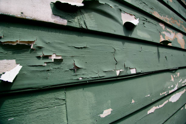 Best Demolition Debris Removal  in Closter, NJ